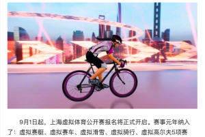 上海虚拟体育公开赛